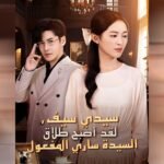 سيدي سيف لقد اصبح طلاق السيدة ساري المفعول